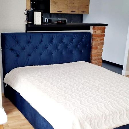 Apartamenty Lazurowy I Sloneczny Z Darmowym Parkingiem Strzezonym Jelení Hora Exteriér fotografie